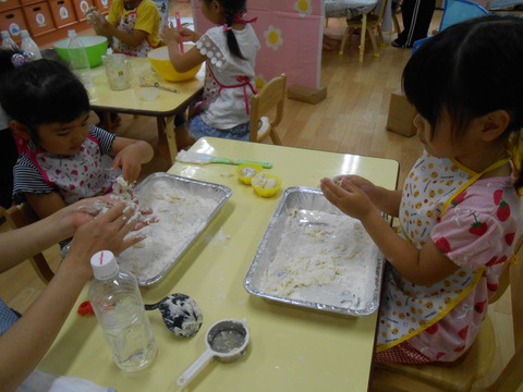 DSCN8584
