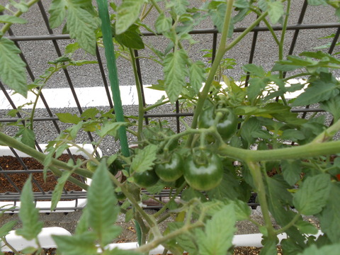 DSCN3161