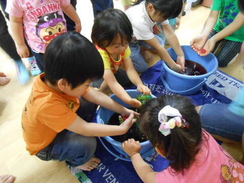 DSCN3025