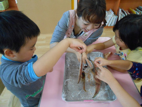 DSCN0097