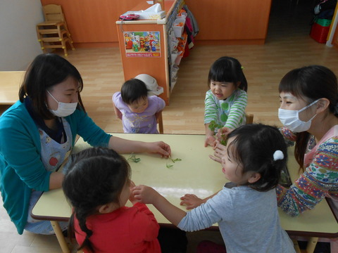 DSCN6696
