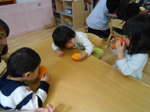 DSCN0817