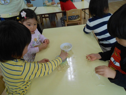 DSCN8188