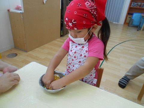 DSCN9411