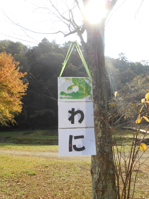 DSCN0217
