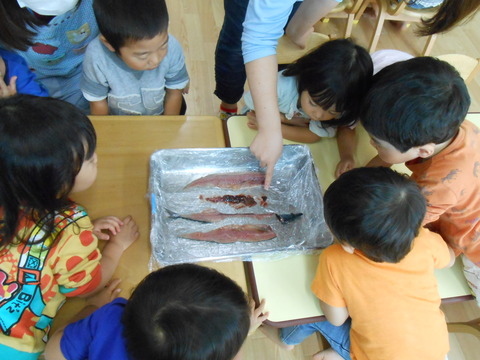 DSCN0086