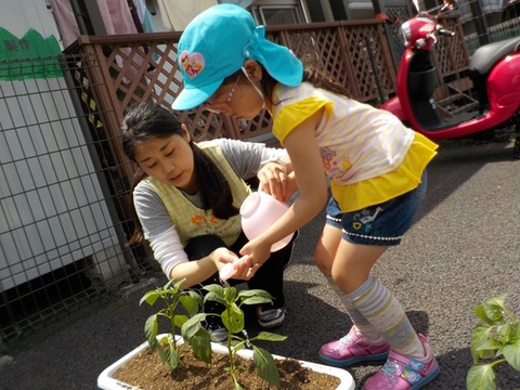 DSCN6558