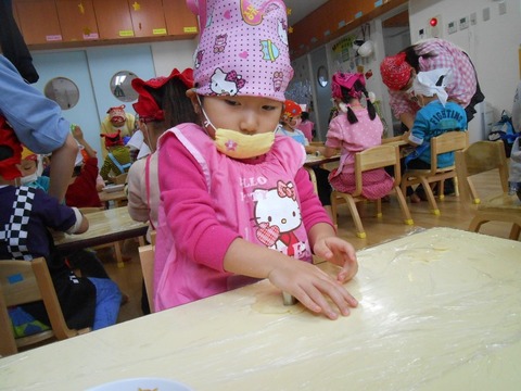 DSCN6093