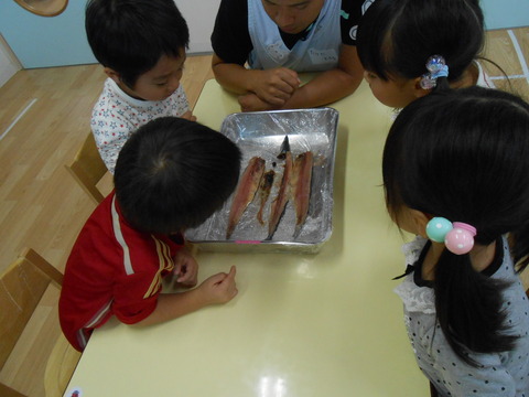 DSCN0090