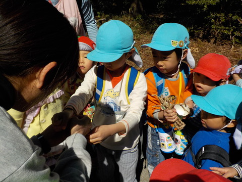 DSCN8477
