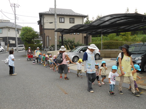お散歩