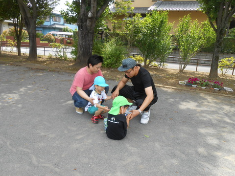 DSCN3233