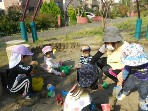 11月1日 030