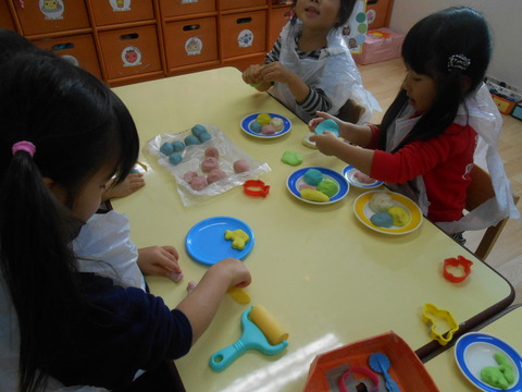 DSCN6304