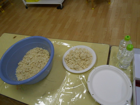 DSCN6498