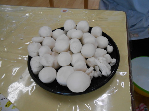 DSCN9879