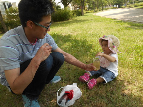 DSCN6536