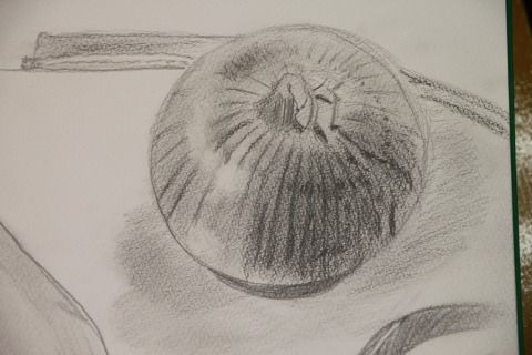 ズッキーニの曲線』5/1の鉛筆デッサン／基礎コース その2 : 絵画教室 OZ