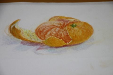 白いすじを取ってから食べる 2月11日の出張教室 色えんぴつ 絵画教室 oz 白いすじを取ってから食べる 2月11日の出張教室 色えんぴつ 絵画教室 oz