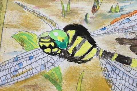 本人が描きたいものを描いた 8 27のクリエイティブ初級 絵画教室 oz 本人が描きたいものを描いた 8 27のクリエイティブ初級 絵画教室 oz