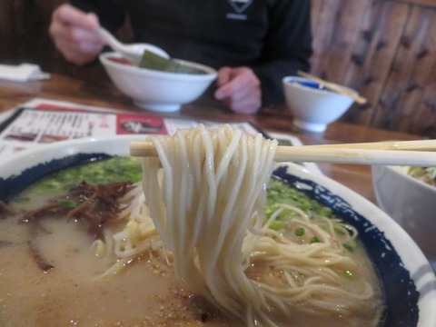隼 麺上げ