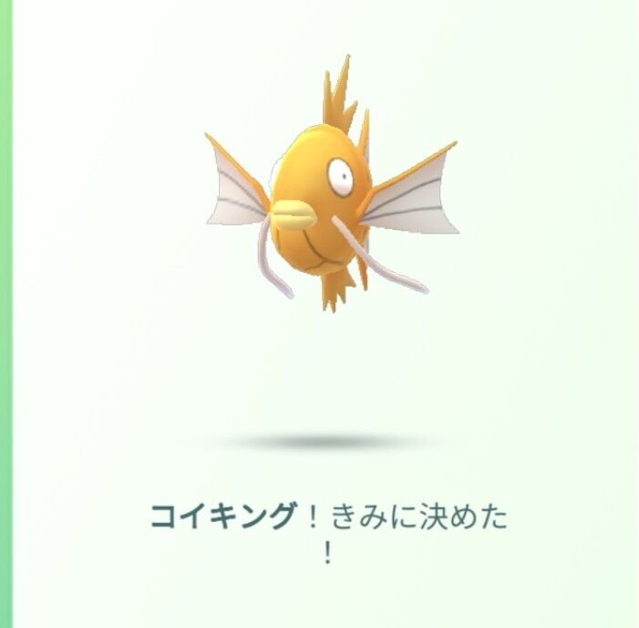 タイムチャレンジの 相棒と一緒に他のトレーナーとバトル や Goスナップショットを撮る など 毎回 言葉の表現部分で戸惑う 所 滝高