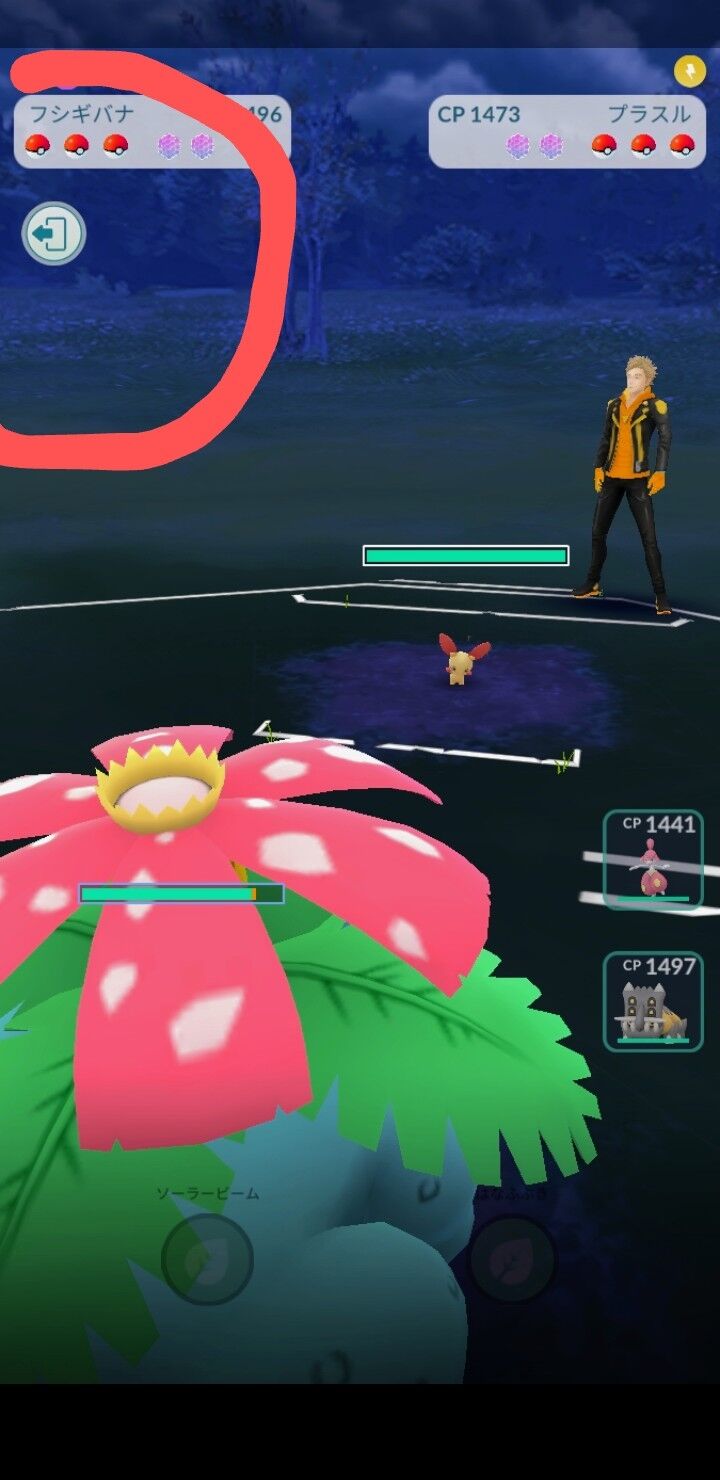 タイムチャレンジの 相棒と一緒に他のトレーナーとバトル や Goスナップショットを撮る など 毎回 言葉の表現部分で戸惑う 所 滝高