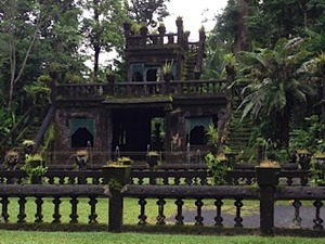 IMG_2250