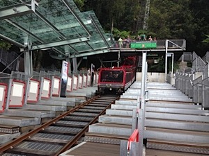 IMG_1977