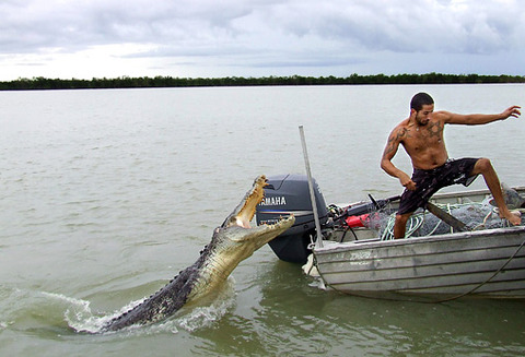 croc3