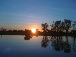 kakadu1