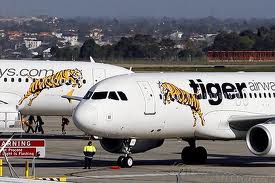 tiger