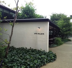 IVY PLACE