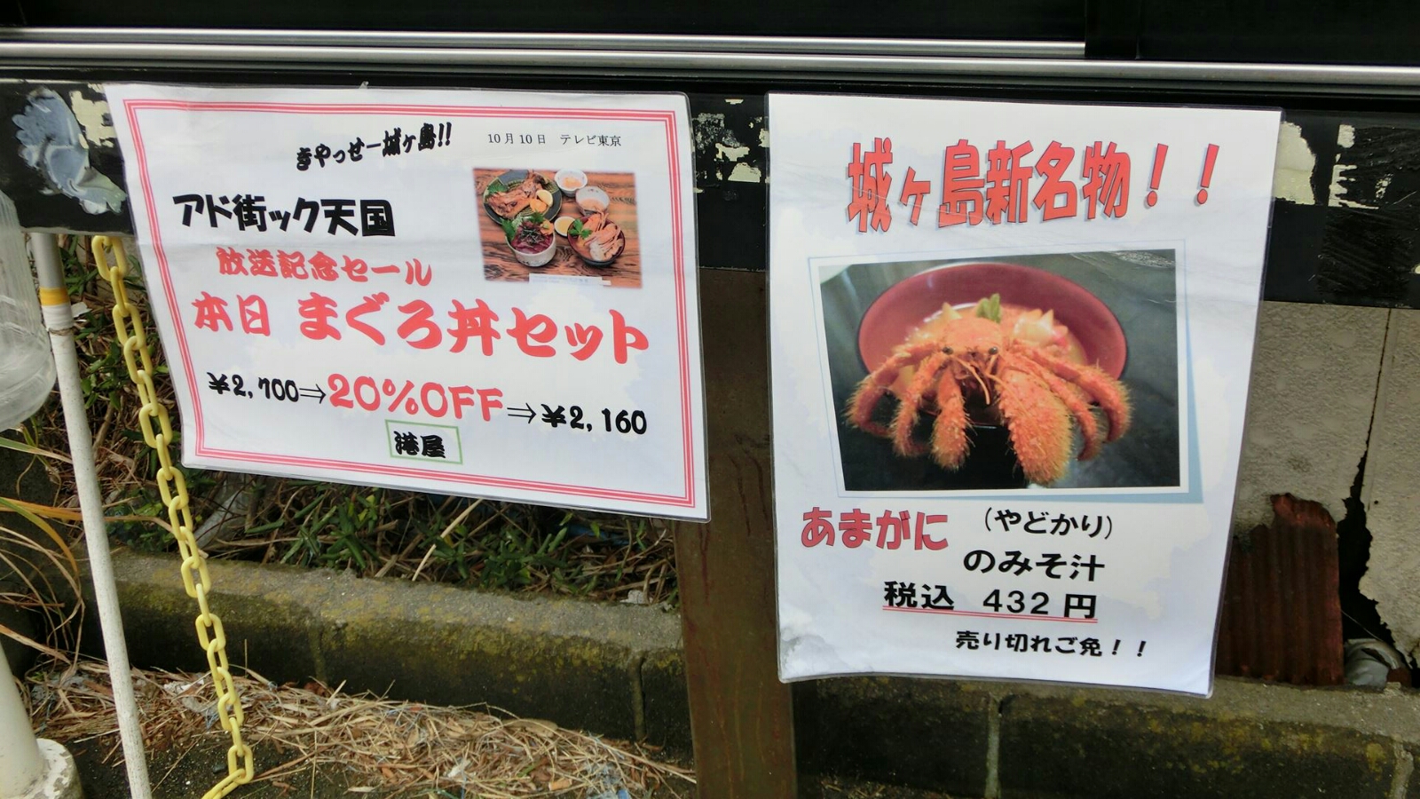 みさきまぐろきっぷ 城ヶ島 くう ねる あそぶ