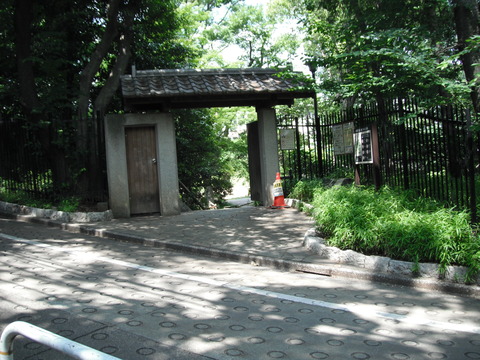 DSCF6019