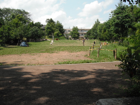 DSCF6024