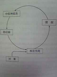 認知運動療法超基礎講座 新熊食堂