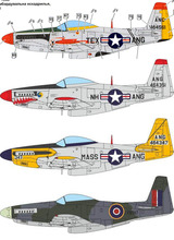 modelsvit_4817_p51h_marking