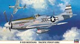 hasegawa_48_p-51d_09903