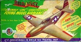 pachter_p-51d_1