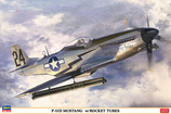 hasegawa_08244_1