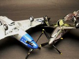 kogure48_p-51d_under_1_