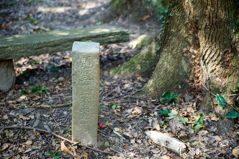EmptyName 222