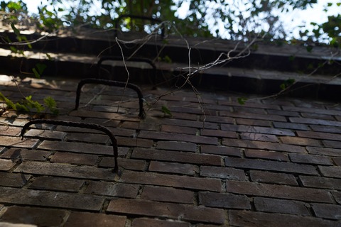 EmptyName 266