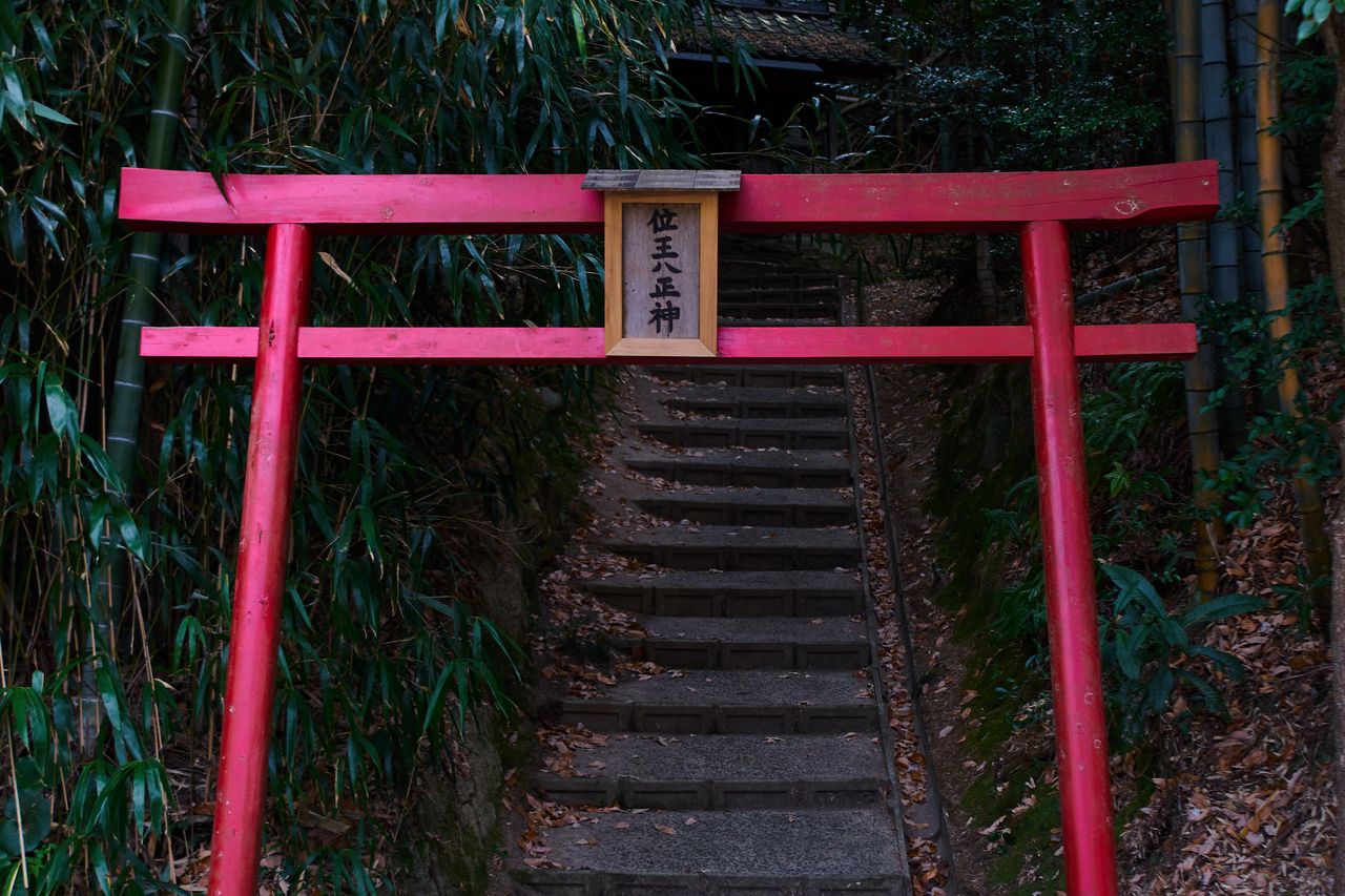 厳島神社には手掘りのトンネルを抜けて行け！-しまなみ海道秘境ライド1 