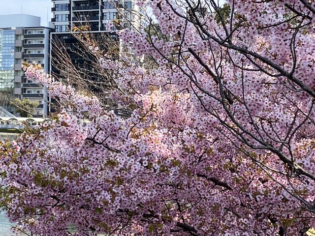 IMG_5854