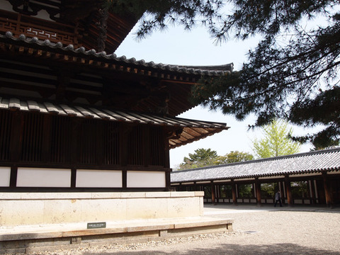 nara52