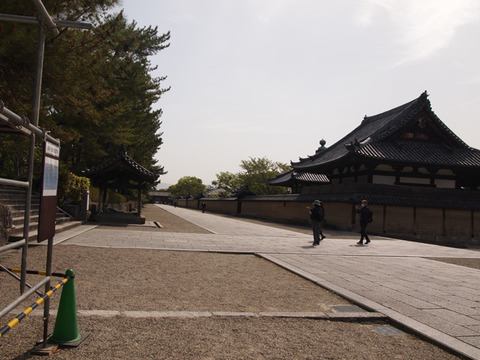 nara48