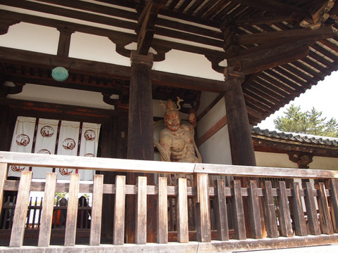 nara50