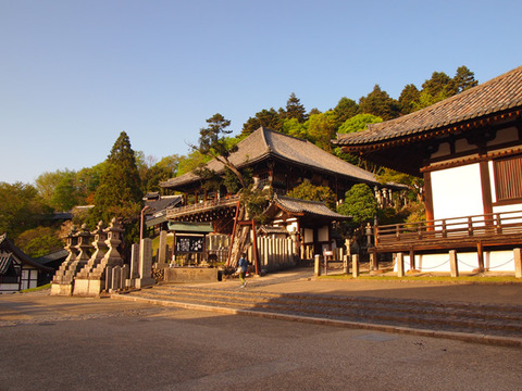 nara28
